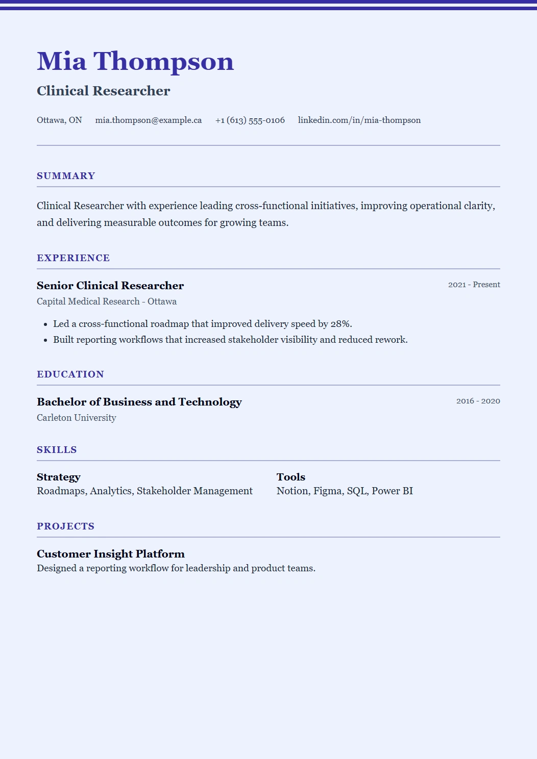 Academic CV template preview