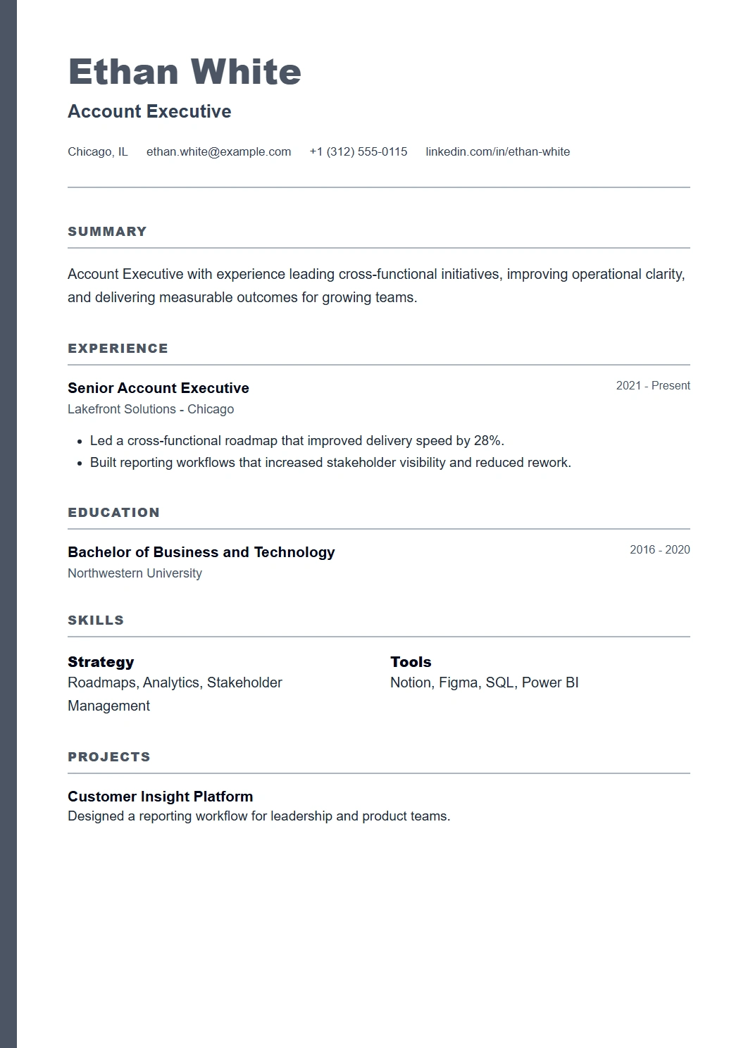 Corporate CV template preview
