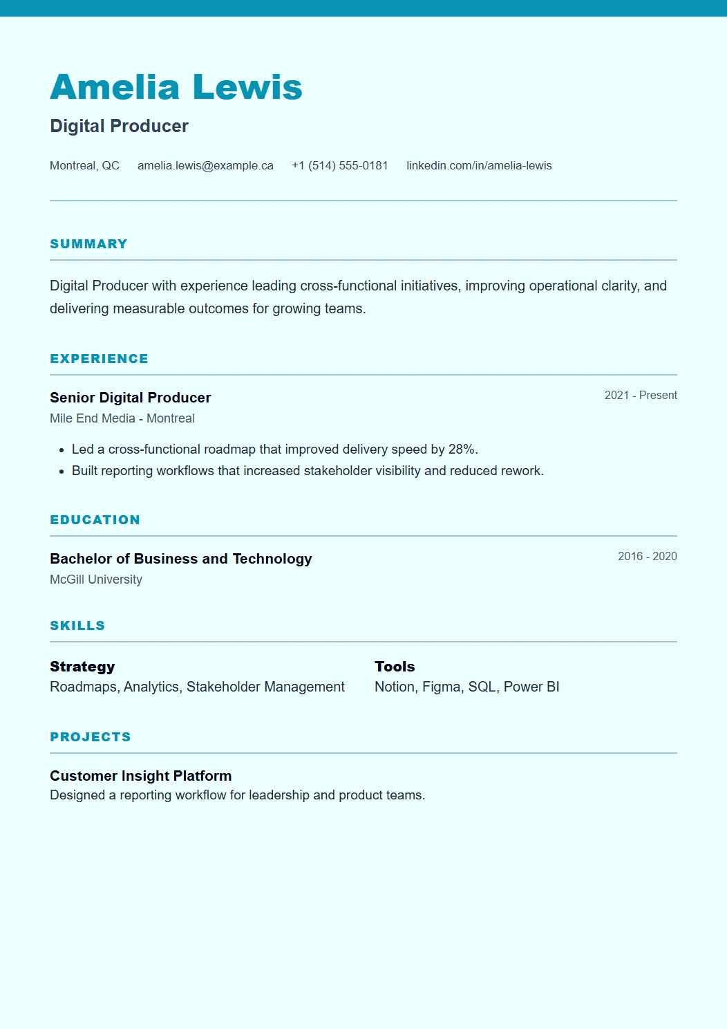 Digital CV template preview