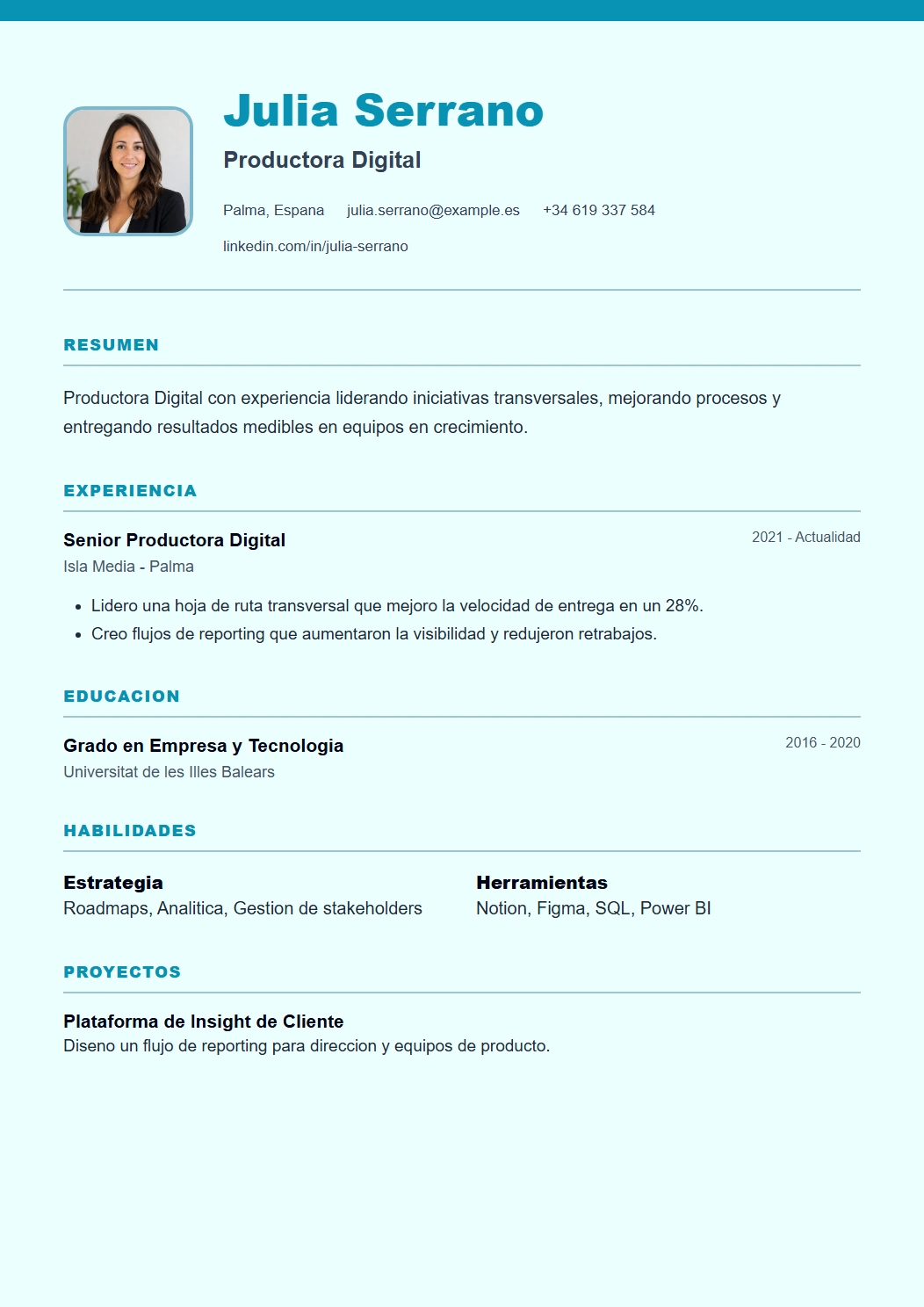 Digital vista previa de plantilla CV