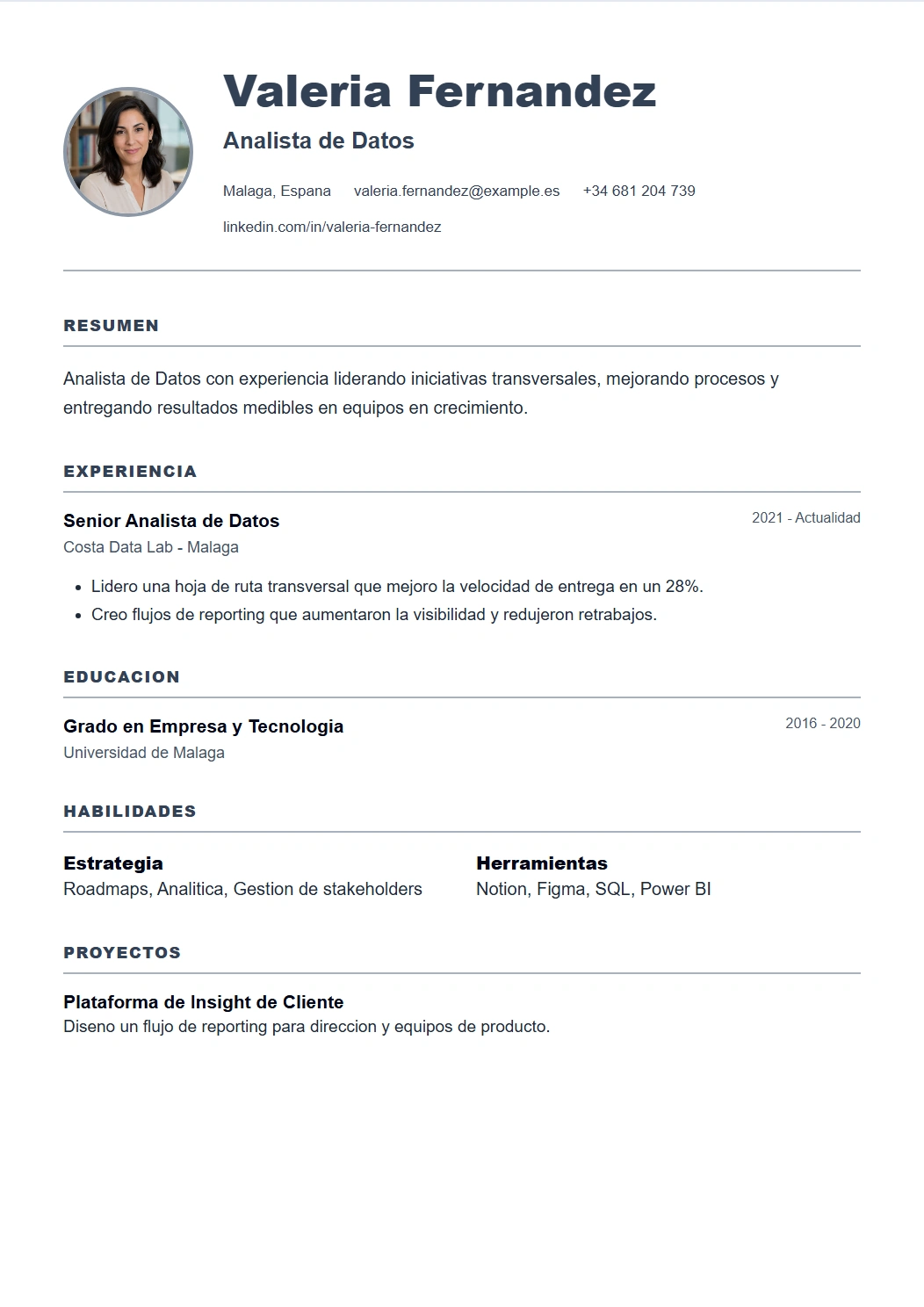 Minimal vista previa de plantilla CV