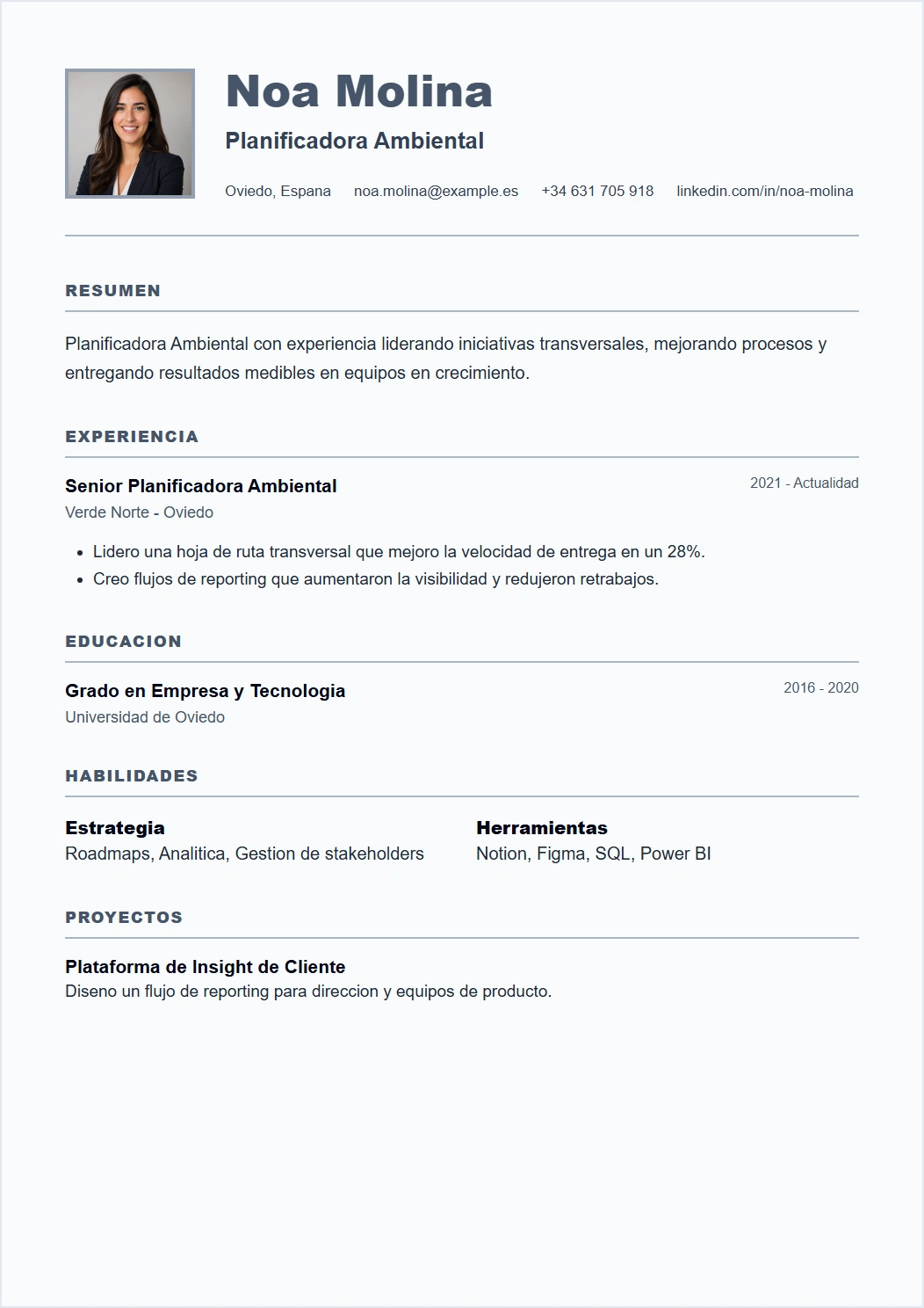 Nordic vista previa de plantilla CV