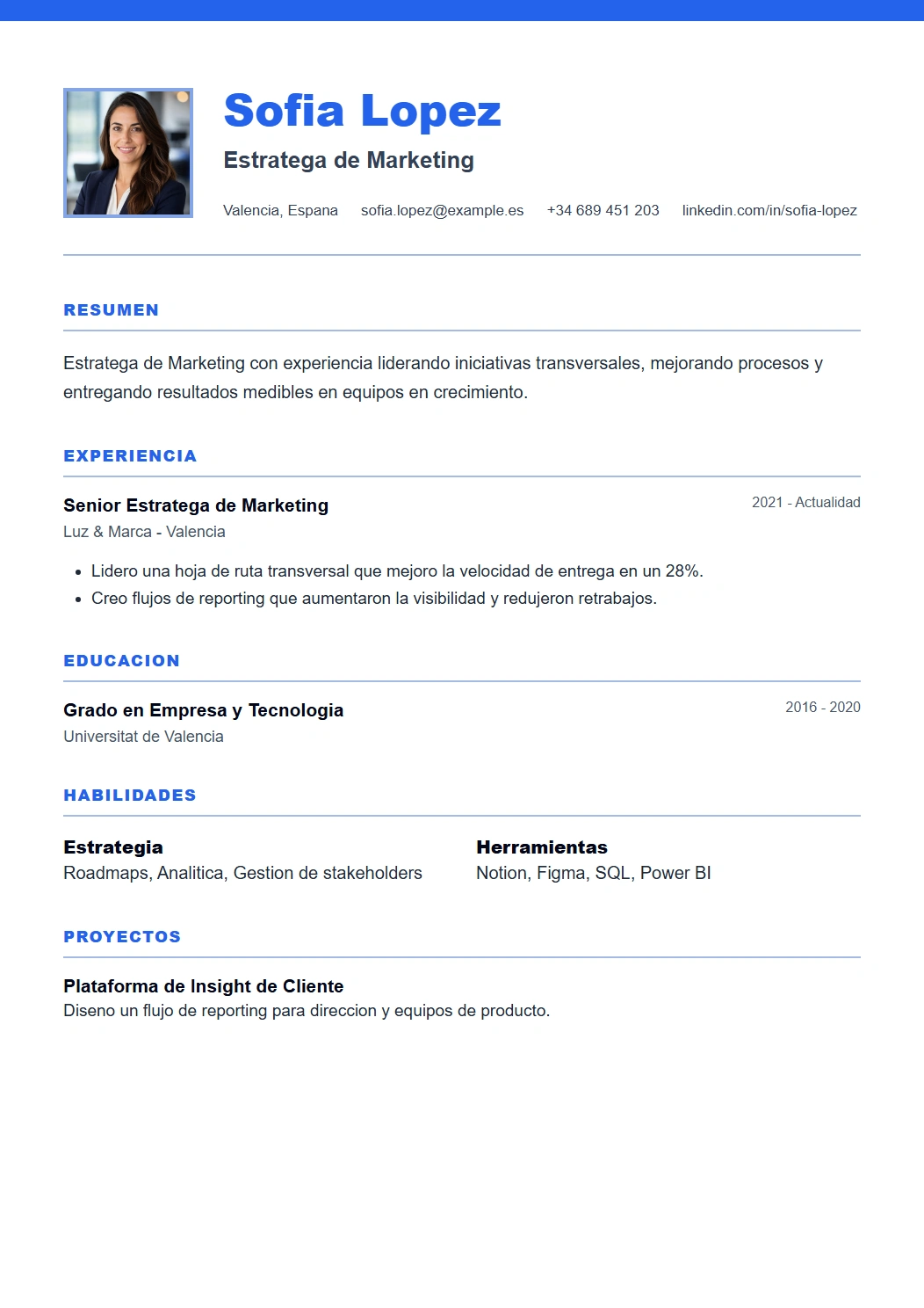 Professional vista previa de plantilla CV