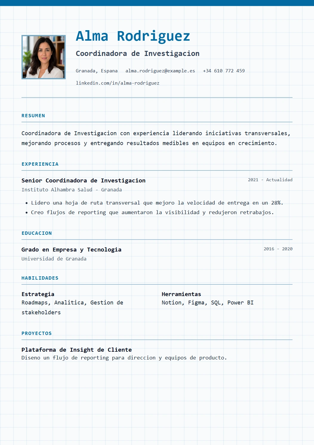 Technical vista previa de plantilla CV
